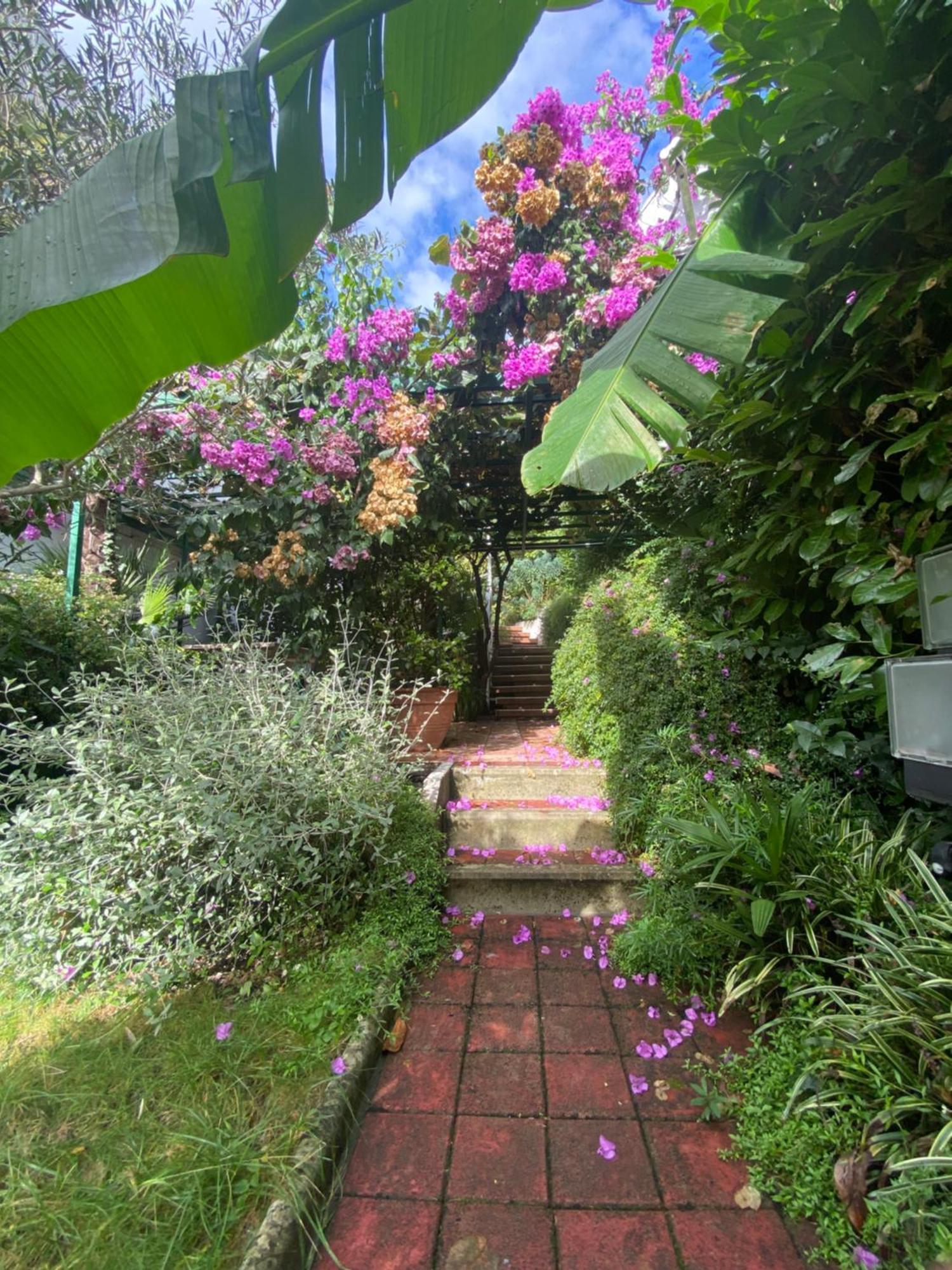 Sunny Garden Appartement Opatija Buitenkant foto